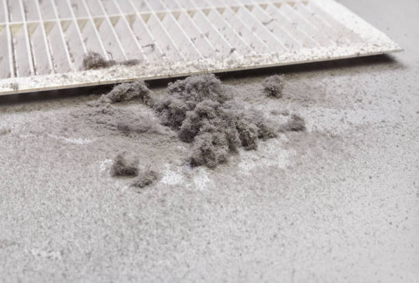 Best Air Duct Cleaning Company Near Me  in Blackwood, NJ