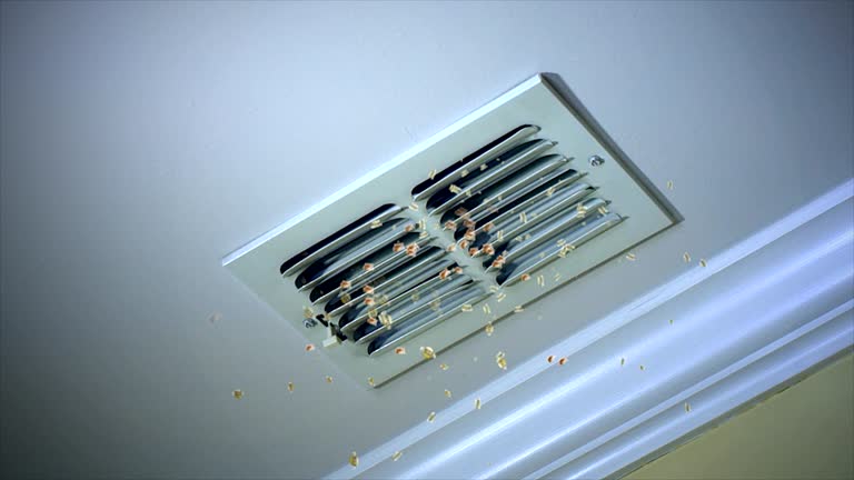 Best Professional Duct Cleaning Services  in Blackwood, NJ